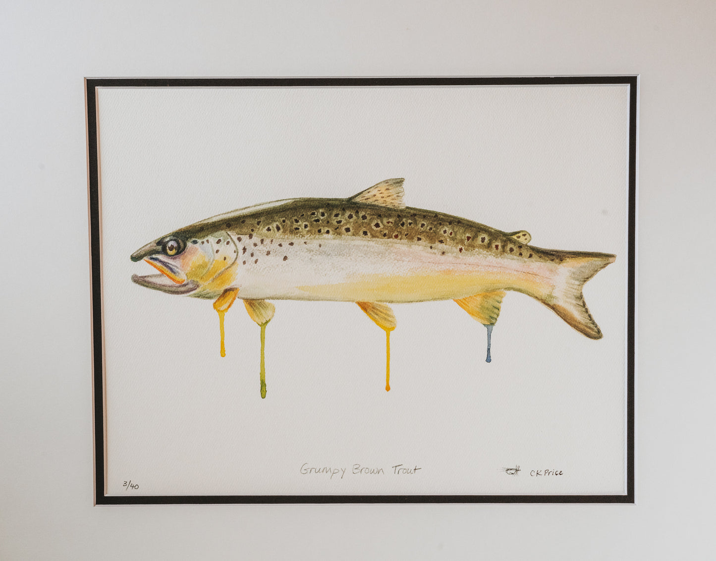 Brown Trout Watercolor