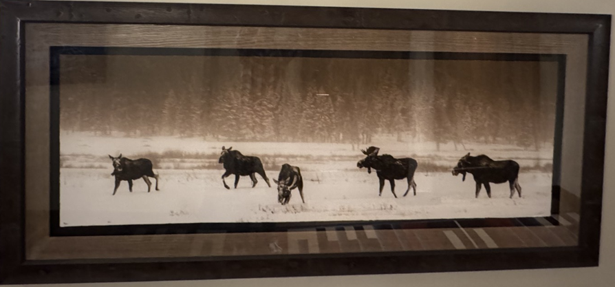 Gary Crandall - One Horn - 70"